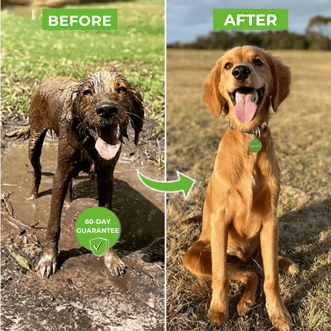 The Ultimate Dog Shower Gun: Your Pet's Refreshing Spa